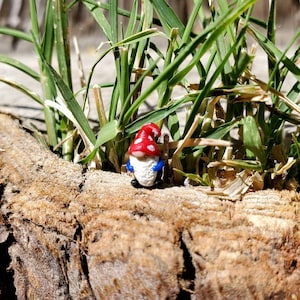 Tiny Micro Mushroom Gnome, Fairy Garden Gnome, Terrarium, Tiny Terrarium Figurine