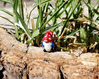 Tiny Micro Mushroom Gnome, Fairy Garden Gnome, Terrarium, Tiny Terrarium Figurine