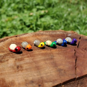 May include: Seven small snail figurines lined up on a wooden surface. The snails are painted in a rainbow pattern, starting with red and ending with purple.