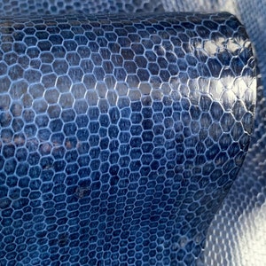 Authentic Italian Snakeskin Hides from Milan Italy, Dyed Blue Snakeskin Leather, Bona Fide Snakeskins with Visible Scales, Size Options
