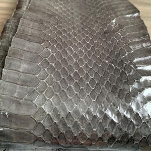 Authentic Italian Snakeskin Hides from Milan Italy, Grey / Gray  Snakeskin Leather, Bona Fide Snakeskins with Visible Scales, Size Options