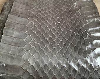 Authentic Italian Snakeskin Hides from Milan Italy, Grey / Gray  Snakeskin Leather, Bona Fide Snakeskins with Visible Scales, Size Options