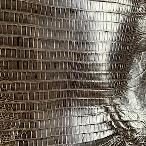 Authentisches Italienisches Eidechsenfell aus Mailand Italien - Graues Eidechsenleder - Exotische Bona Fide Eidechsenhaut - Reptilienhaut - Lederhandwerk