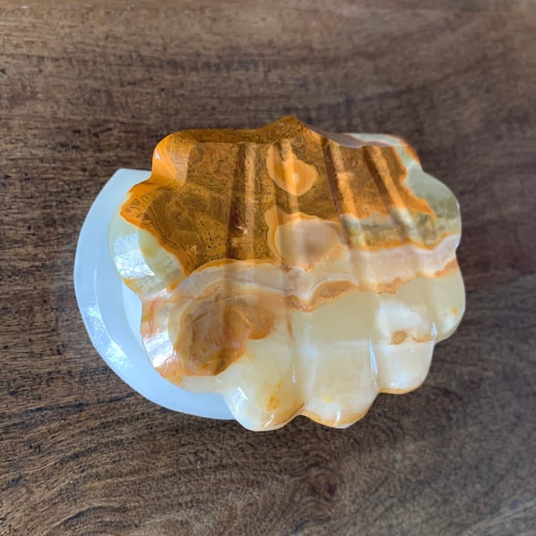 Stunning Onyx Jewelry Box / Trinket Dish, Orange Brown Green Yellow & White Shell Shaped Lid, Mostly White Base, Stone Shell, Vanity Decor