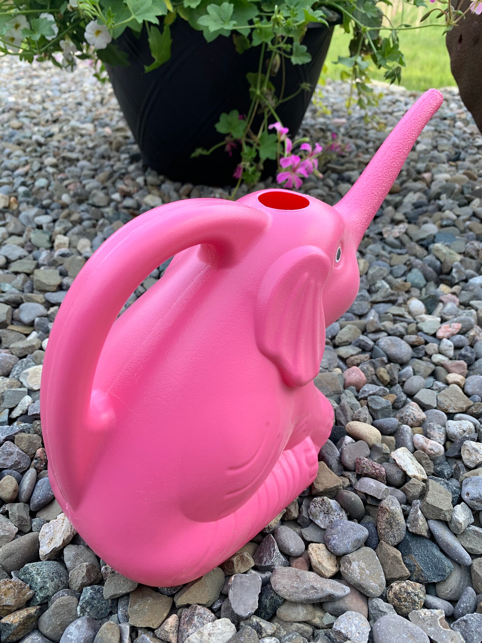 Pink Elephant Watering Can Plastic Baby Elephant Water Jug Etsy