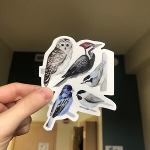 Könnte beinhalten: Ein Aufkleber mit Aquarellillustrationen von Vögeln, darunter eine Eule, ein Specht und kleinere Singvögel. Die Vögel sind in Grautönen, Blau und Braun gehalten, mit detaillierten Federmustern. Der Aufkleber wird von einer Hand gehalten.