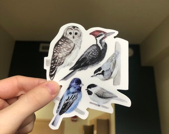 Birds of the Northeastern Forests Vinyl Sticker - 4 inch waterproof sticker