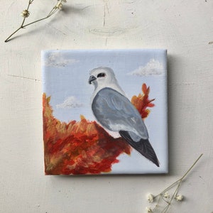 Mississippi Kite Hand-painted bird Coaster