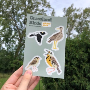 Grassland Bird Sticker Sheet – Water-Resistant Decals (4" x 6")