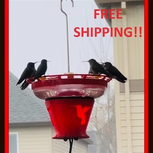 Hummingbird 16oz Feeder+Heater NEW Easy Refill design: No Bungee Cords for quick and easy nectar top-off. Designed and Made in the USA