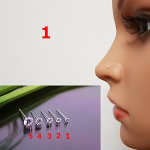 Könnte beinhalten: Fünf silberne Nasenringe mit klaren Strasssteinen. Die Ringe sind von 1 bis 5 nummeriert, wobei der kleinste Ring die Nummer 1 und der größte Ring die Nummer 5 hat.