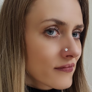 以下が含まれることがあります： 女性の顔のクローズアップで、小さな透明な鼻のリングをしています。リングには、丸い透明な石が1つ埋め込まれています。