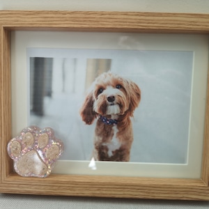 May include: A wooden picture frame with a photo of a brown and white dog inside. A small, pink and white paw print is attached to the frame.
