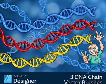 3 DNA Vector Brushes for Affinity Designer