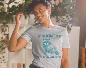 It Is What It Is And It Is Not Great T-Shirt, Mental Health T-Shirt, Funny T-Shirt Women, Meme T-Shirt, Raccoon Shirt, Gag Tee