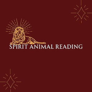 Spirit Animal Reading