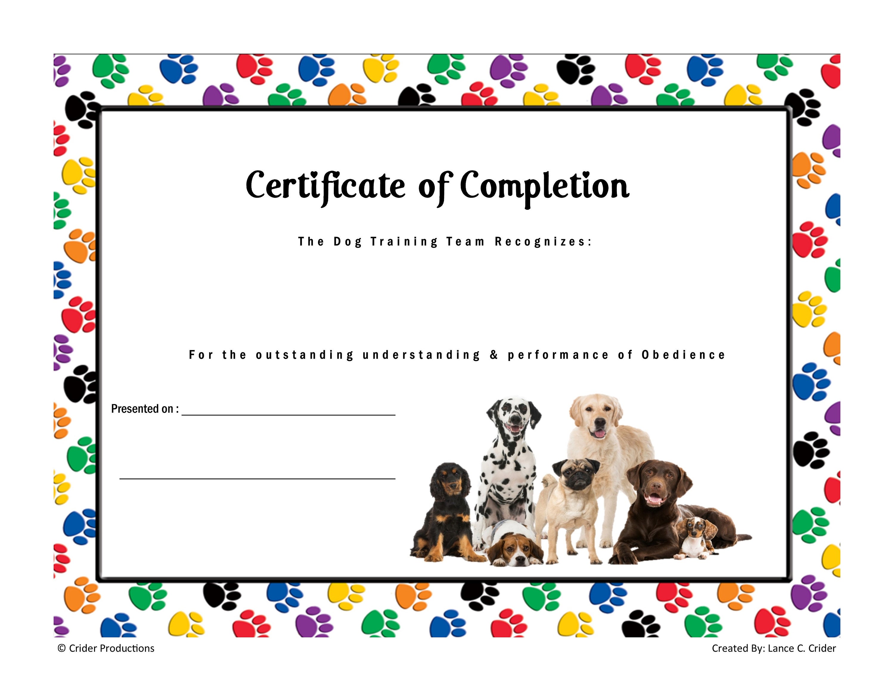 How Do You Get A Dog Certified
