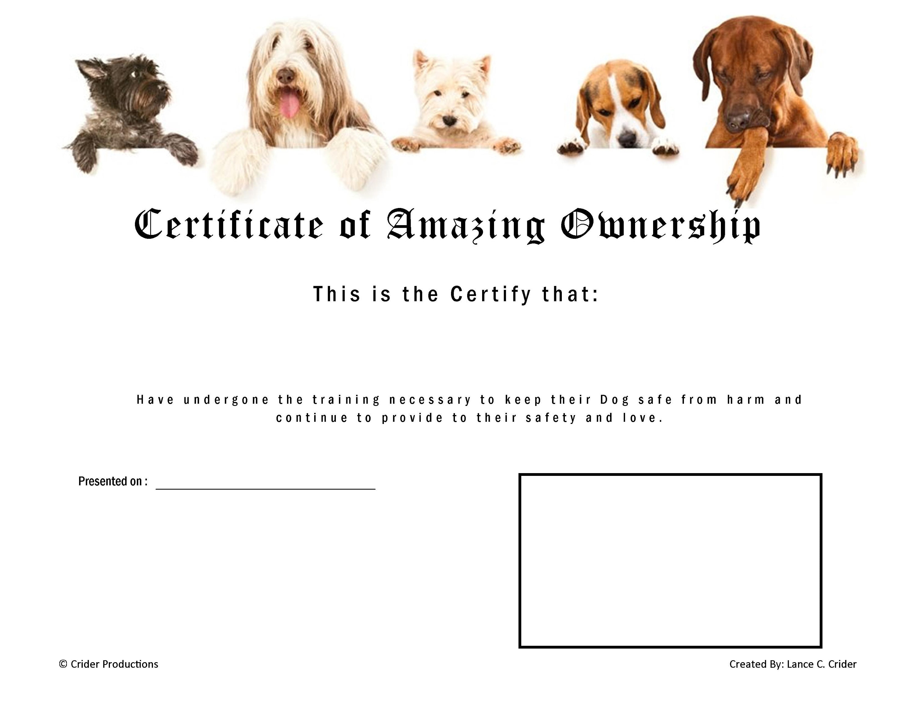 Free obedience classes 2025 for dogs