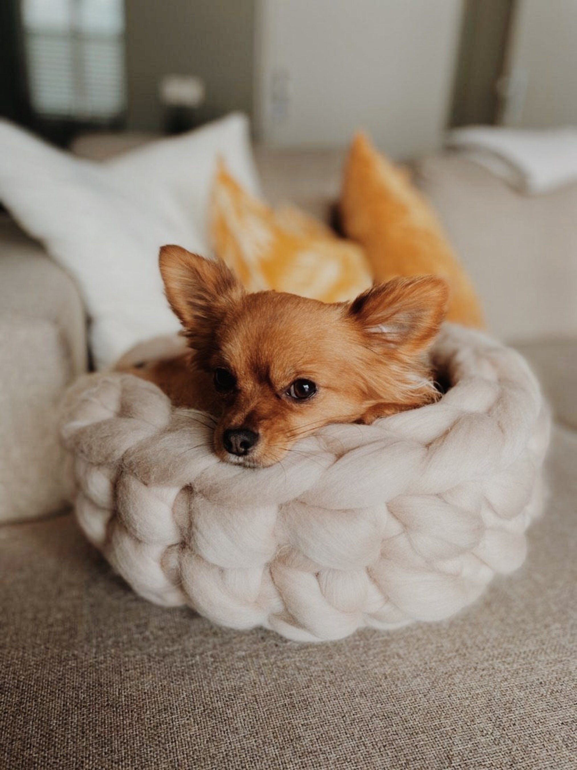 DIY Catbed Kit Make Your Own Cat Bed Etsy