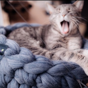 May include: A gray tabby cat yawns while relaxing in a large, blue, knitted cat bed. The bed is made of thick, chunky yarn and has a soft, cozy texture.