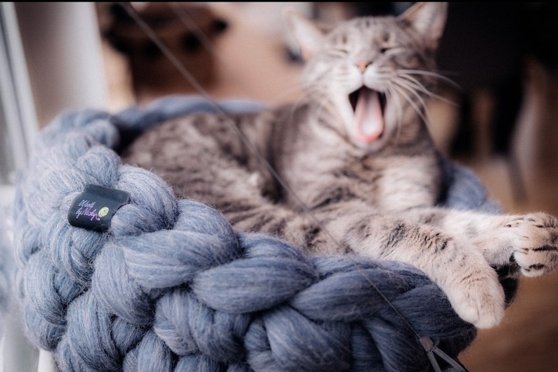 May include: A gray tabby cat yawns while relaxing in a large, blue, knitted cat bed. The bed is made of thick, chunky yarn and has a soft, cozy texture.