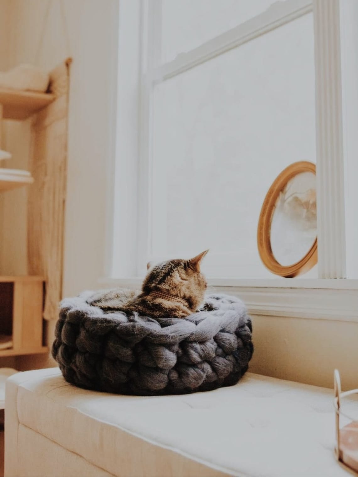 DIY Catbed Kit Make Your Own Cat Bed Etsy