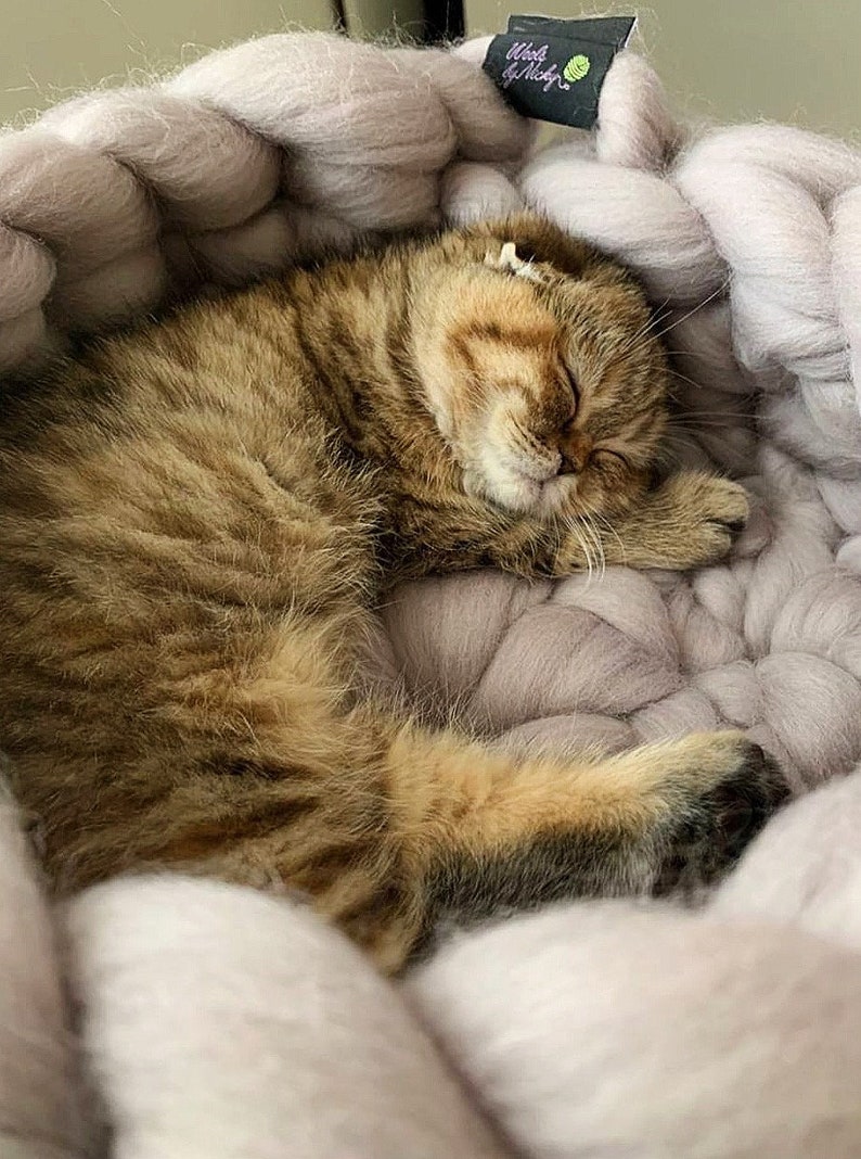 May include: A brown tabby cat with white markings sleeps curled up in a large, light purple knitted pet bed. The bed is made of thick, chunky yarn and has a soft, fluffy texture.
