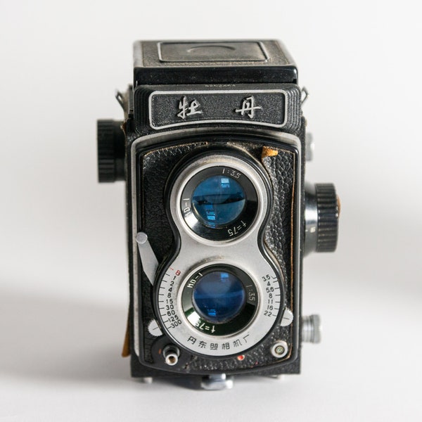 Seagull 4B TLR