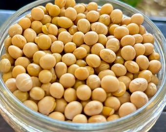 20+ Soybean Seeds, Dry Beans, Veganic (Vegan & Organic), Heirloom, Open-Pollinated, Non-GMO, No-Till