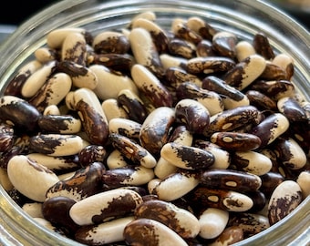 20+ Appaloosa Dry Pole Bean Seeds, Veganic (Vegan & Organic), Heirloom, Open-Pollinated, Non-GMO, No-Till