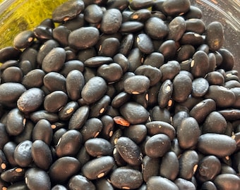 20+ Black Dry Pole Bean Seeds, Veganic (Vegan & Organic), Heirloom, Open-Pollinated, Non-GMO, No-Till