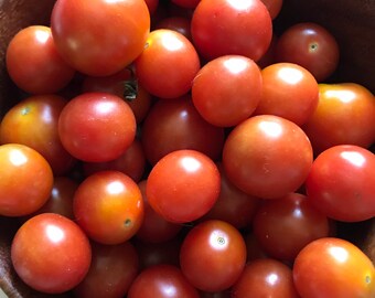 50+ Red Cherry Tomato Seeds