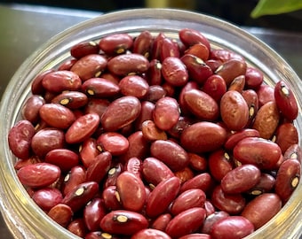 20+ Small Red Dry Bush Bean Seeds, Veganic (Vegan & Organic), Heirloom, Open-Pollinated, Non-GMO, No-Till