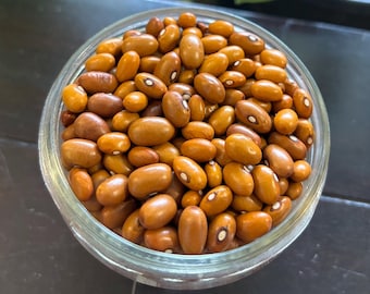 20+ Swedish Brown Dry Bush Bean Seeds, Veganic (Vegan & Organic), Heirloom, Open-Pollinated, Non-GMO, No-Till