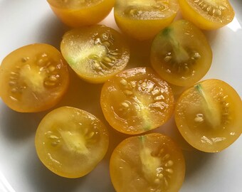 50+ Yellow Cherry Tomato Seeds, Veganic (Vegan & Organic), Open-Pollinated, Non-GMO, No-Till