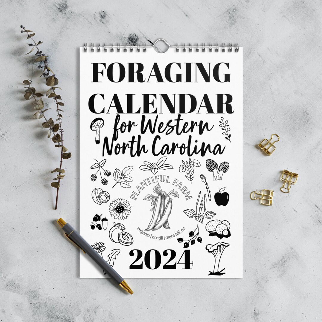 Foraging Calendar 2024 Etsy