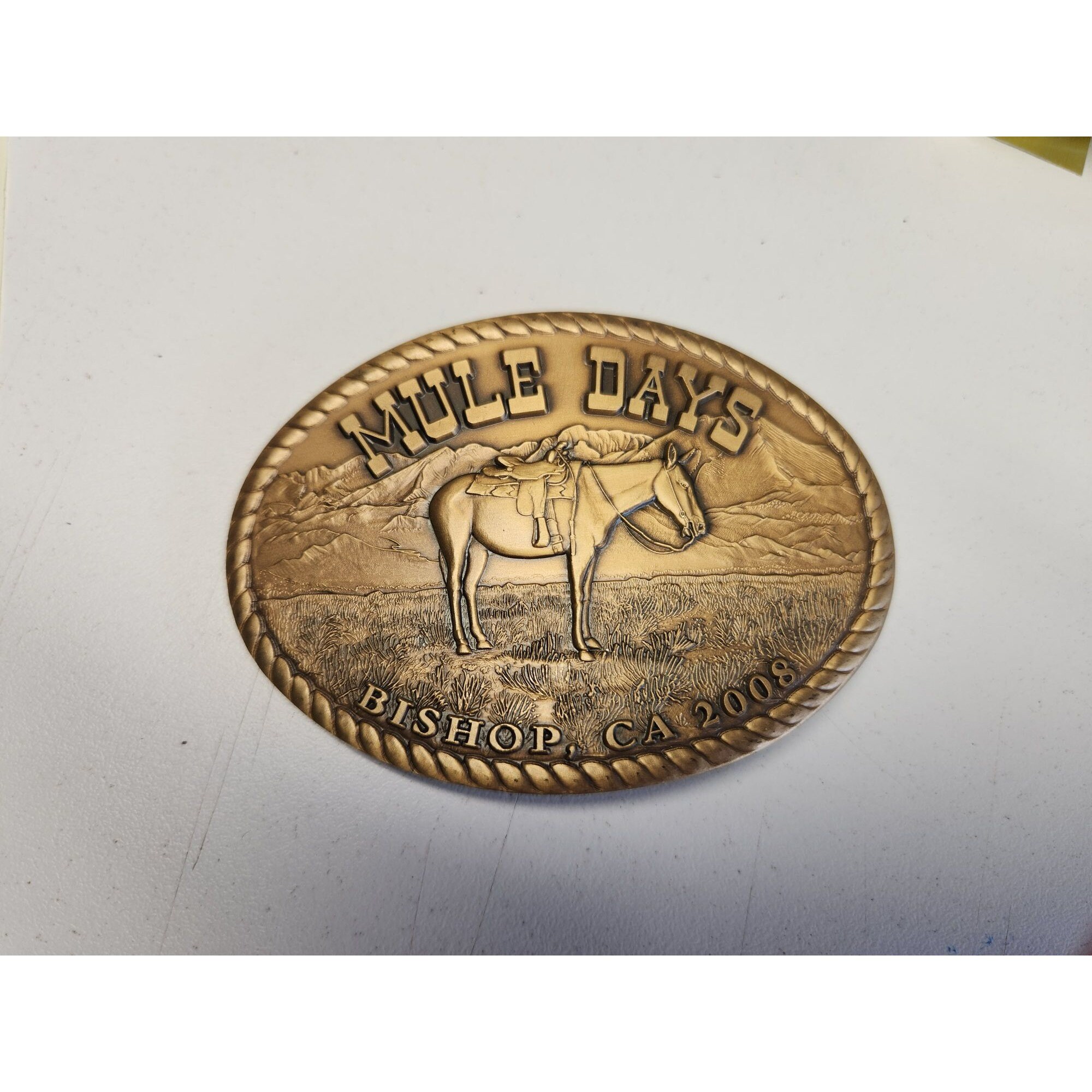 Mule belt buckle discount