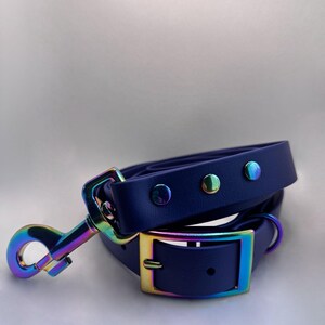 Biothane pet collar and leash