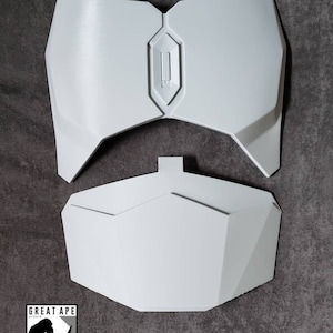 Puede incluir: Dos piezas de pl&aacute;stico blanco que forman una pieza de pecho para un disfraz. La pieza superior tiene un dise&ntilde;o hexagonal en relieve con una abertura rectangular en el centro. La pieza inferior es una forma hexagonal plana.