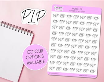 PIP Personal Independence Payment Words (Custom Sheet) Planner Stickers | Functional Script Words Organisational Diary Sticker Sheet