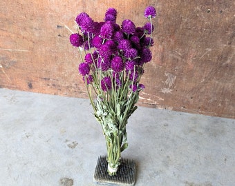 Purple Gomphrena | Naturally Dried Flowers | Everlasting Dried Flower | Dried Flower Bunch