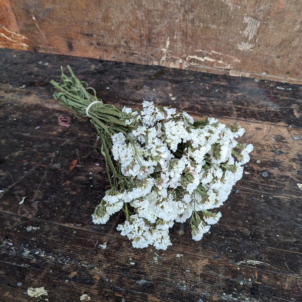 Antique White Statice Bunch | Naturally Dried Flowers | Off-White Dried Flowers | Everlasting Flowers | Wedding Flowers | Home Decor