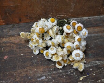White Strawflower | Dried Strawflower Bouquet | Naturally Dried Flowers | Everlasting Dried Flower | Dried Flower Bunch | White Bouquet