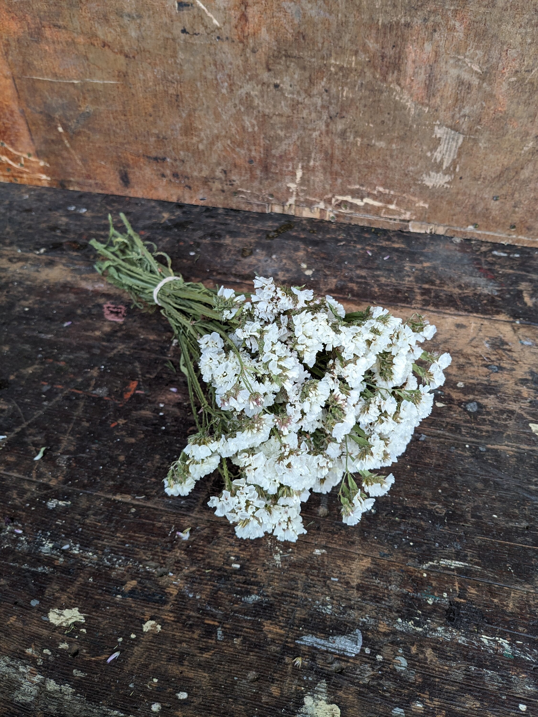 Floral Greenery Filler Stems for Bouquets Do It Yourself Bridal Bouquet  Green Floral Stems 20ct Mixed Greenery Stems 