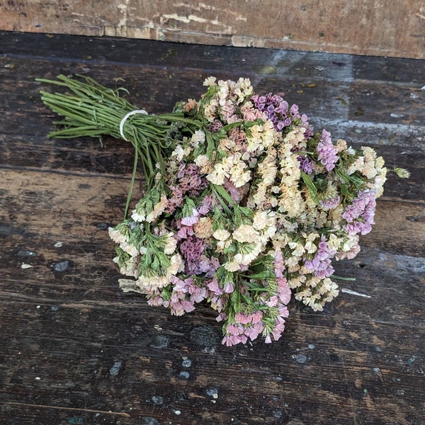 Peach Apricot Tone Statice Mix | Peach Shades | Naturally Dried Flowers | Everlasting Dried Flower | Dried Flower Bunch