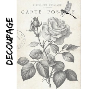 Large Decoupage Paper - 20 x 30" - Fleur Carte Postale  -  with Instructions