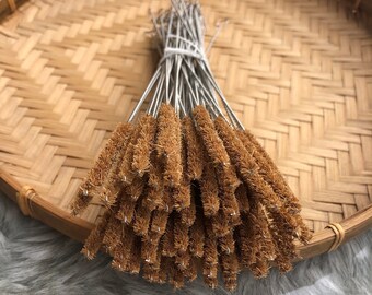 Straw Cleaner - Eco Friendly Natural Coconut Fiber Brush in Bulk