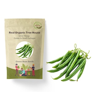 Green Bean Seeds |100+Seeds|Bush Bean Seeds | Organic & Non Gmo Beans | Heirloom Seeds | Fresh USA Grown Seeds | Grow Your Own Beans At Home