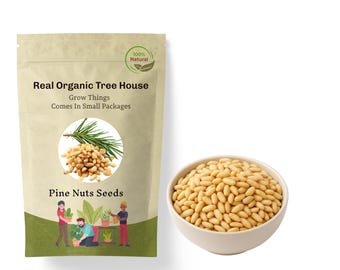 Pine Nuts Seeds | Edible Pine Kernels | Baking & Cooking Ingredient | Kitchen Recipe Use | Culinary Favorite