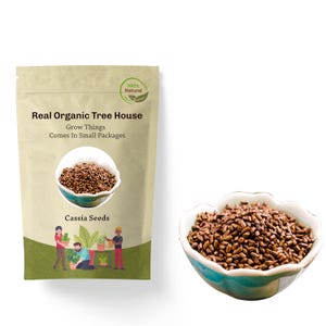 Puwar Cassia Tora Chakramarda Seeds | Natural Herbal Tea | Natural Loose Herb | Dried Natural Tea | Organic Bulk Herb | Loose Tea Gift